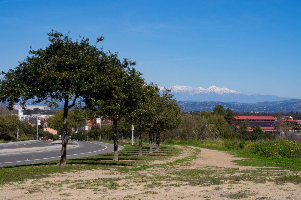 Winter Views from UC Irvine - Baking Priority